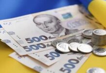 На Закарпатті переселенці з уразливих категорій населення отримають фінансову підтримку від ООН