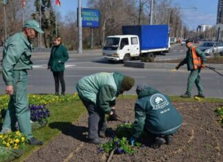 На площади 10 апреля высадили патриотические цветы