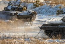 Перемога росії в Україні означала б зупинку на шляху Фінляндії до НАТО, — журналістка