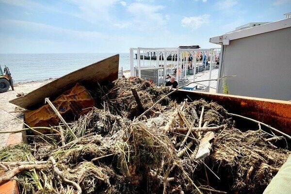 Жабы и бревна: на пляжах Одессы начали убирать мусор
