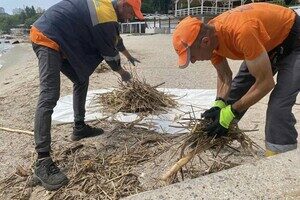 Жабы и бревна: на пляжах Одессы начали убирать мусор