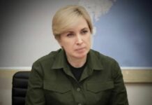 «Не треба загрожувати людям»: Ірина Верещук — про ставлення представників влади до українців за кордоном