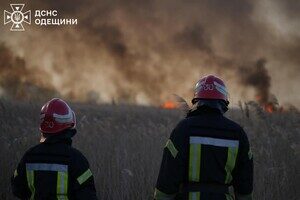 В Одесском районе горит сухостой: огонь распространился на территорию нацпарка