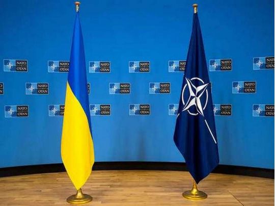 Трамп відвідає червневий саміт НАТО: чи&nbsp;буде там Зеленський