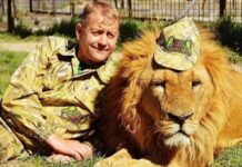 Власник кримських зоопарків Зубков тяжко постраждав внаслідок нападу левів (відео)