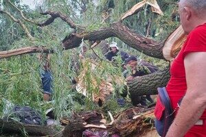 В Одесской области дерево упало на палатку с подростками: есть погибший и пострадавшие