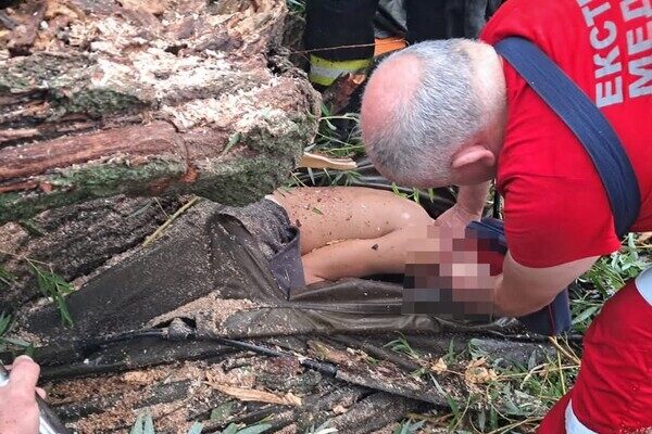 В Одесской области дерево упало на палатку с подростками: есть погибший и пострадавшие