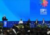 Ліси Вірменії зникають: тривожний сигнал перед COP 17