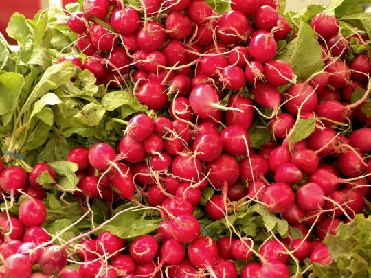 Секрет озимої редиски: зробіть так&nbsp;&mdash; і&nbsp;збирайте врожай вже у&nbsp;травні